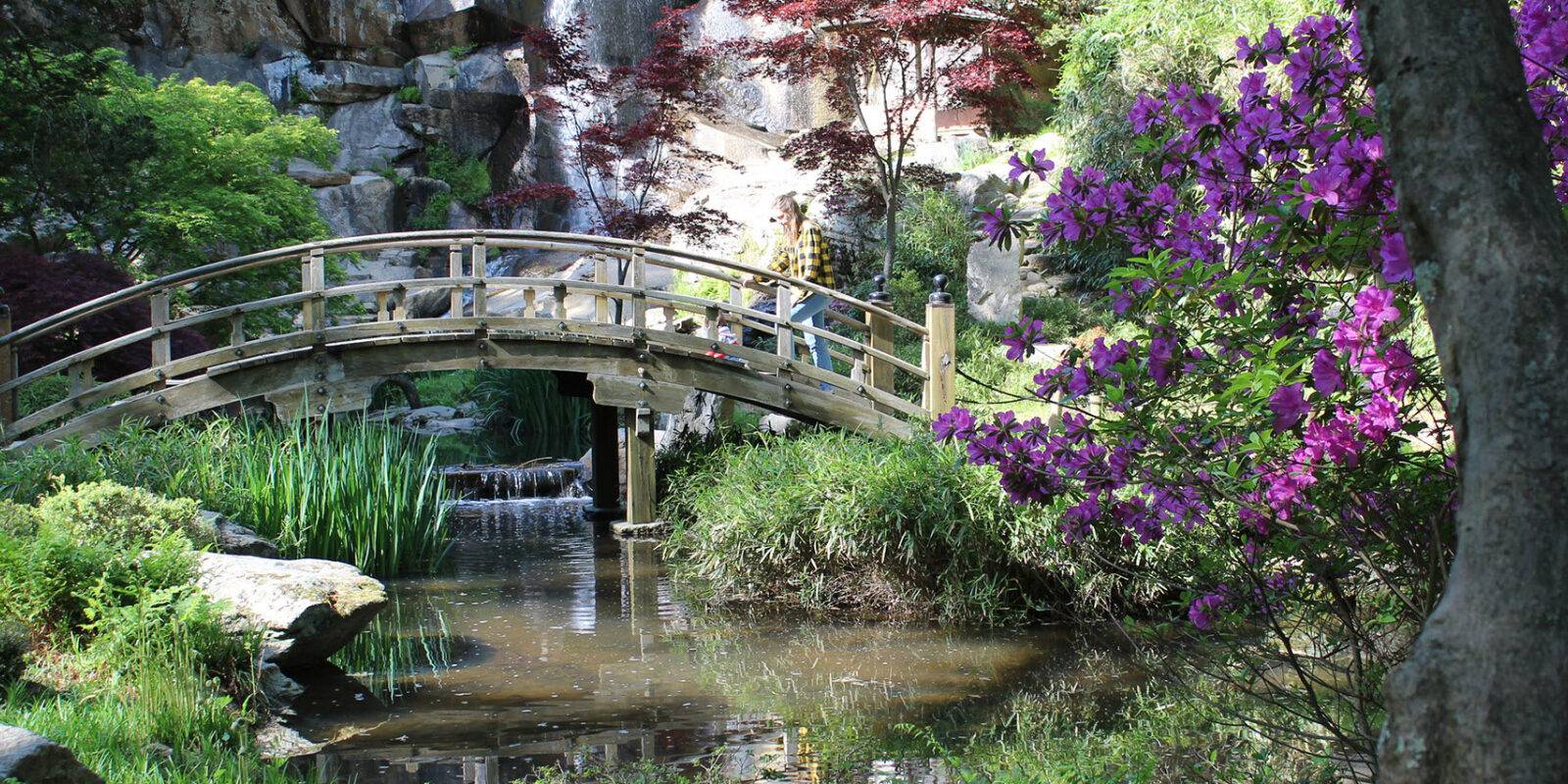bridge over stream at Maymont Park's Japanese Gardens
