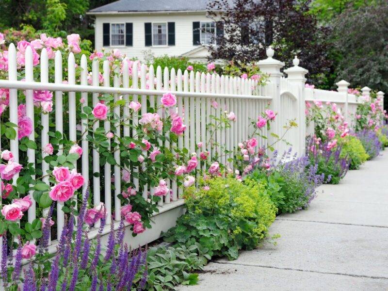 spring flowers and a white picket fence with a home in the distance